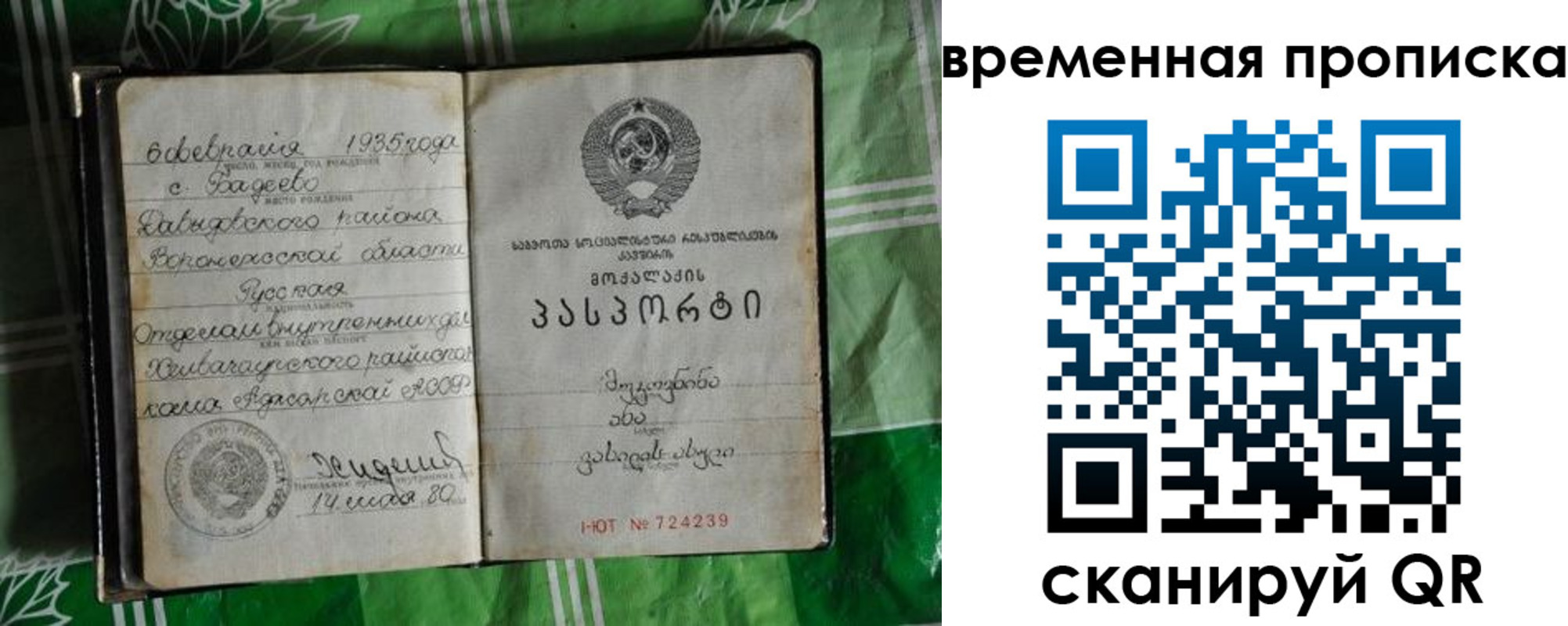 прописка в Кувшиново